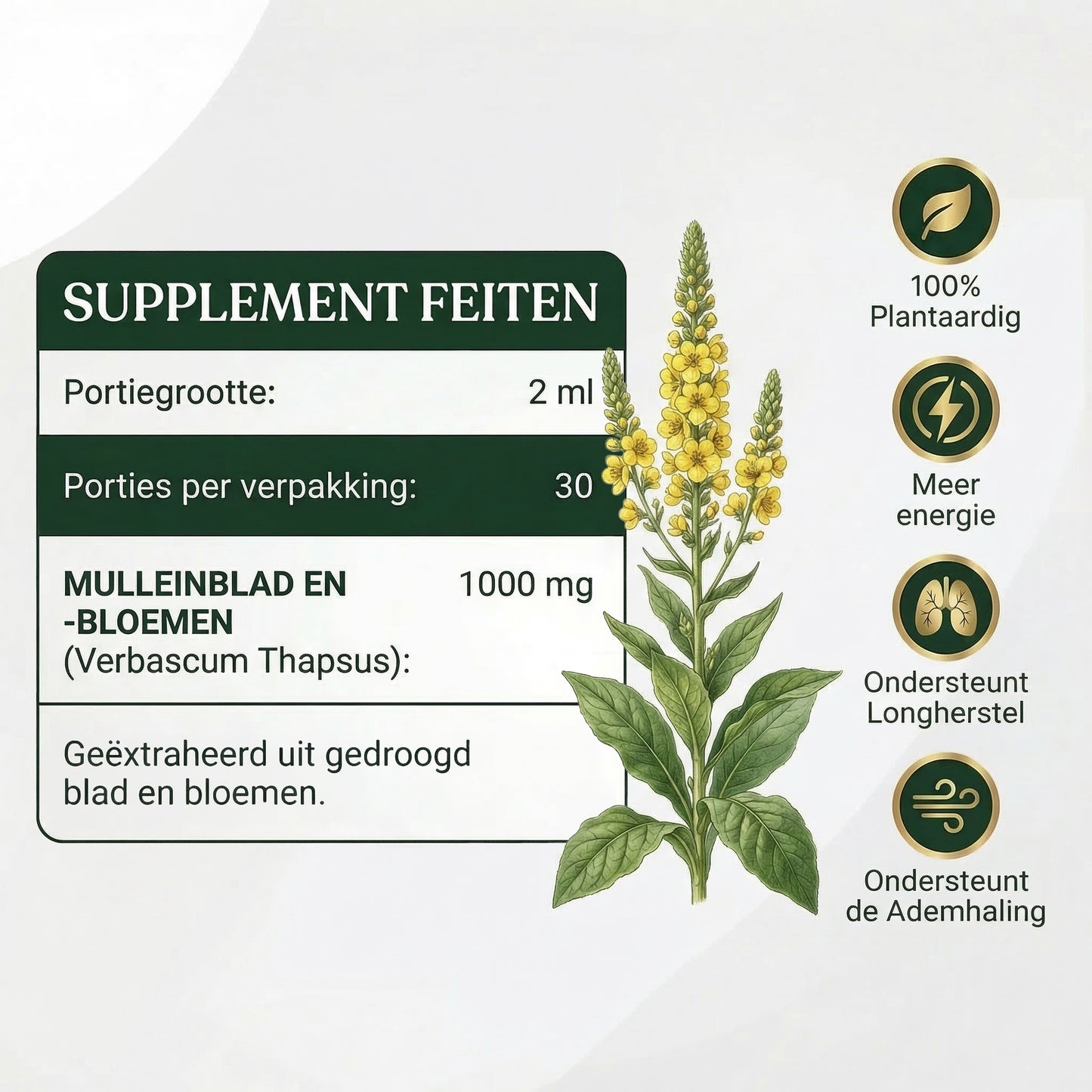 Long Herstel – Supplement