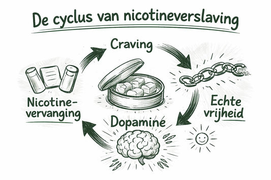 Nicotine Zakjes Stoppen Roken: Afbouwplan voor Nicotinevrij