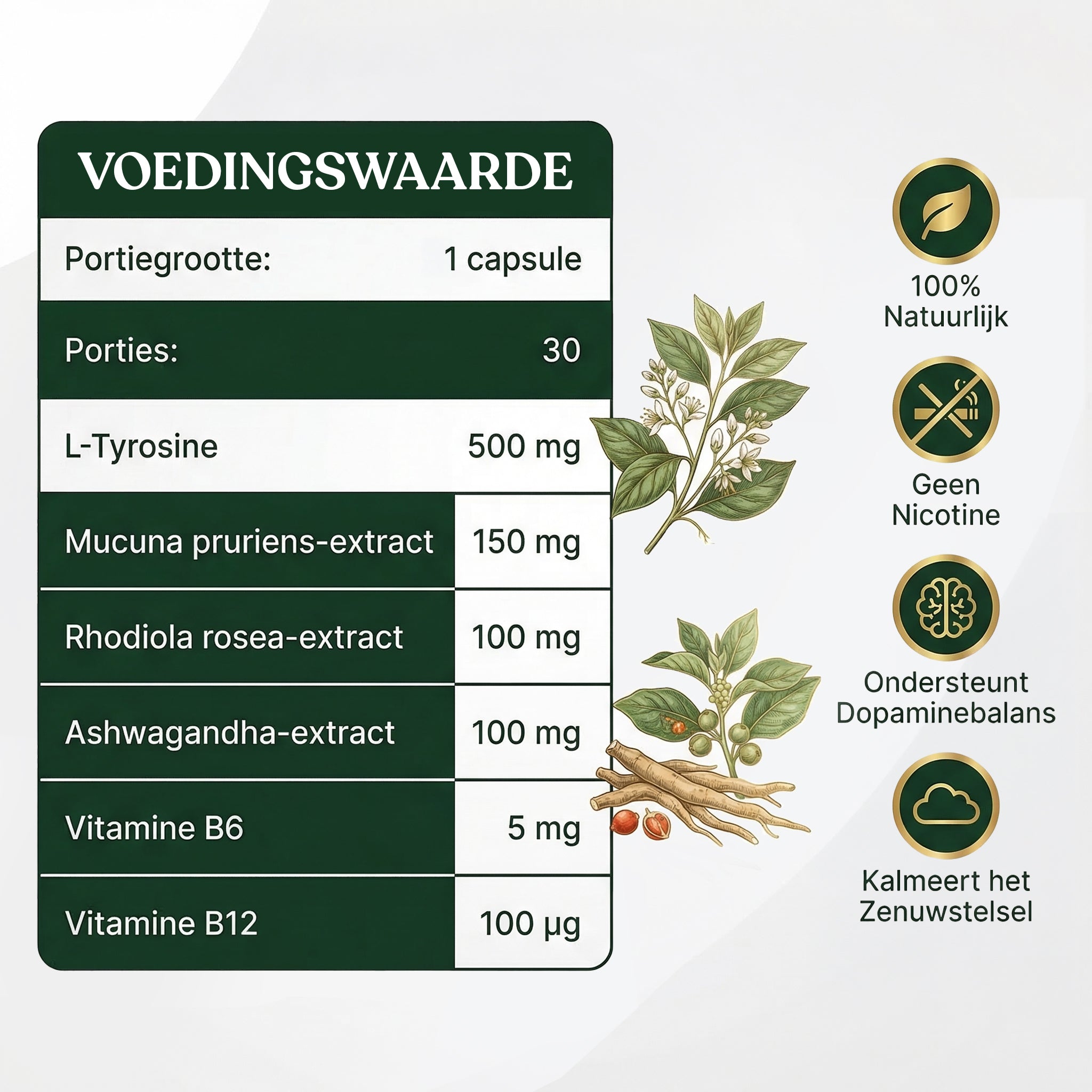 Natuurlijke Dopamine Kick – Supplement