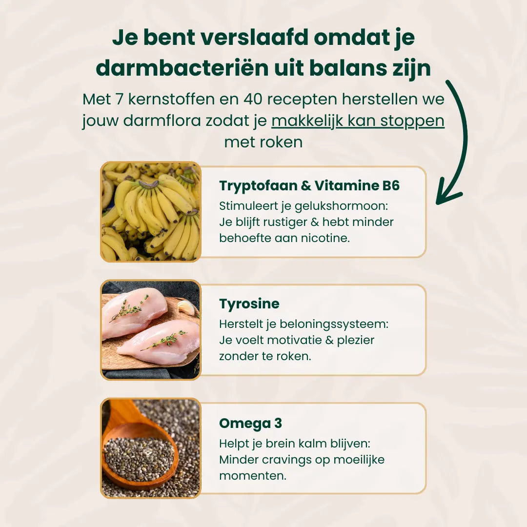 Het Stoppen Met Roken Kookboek