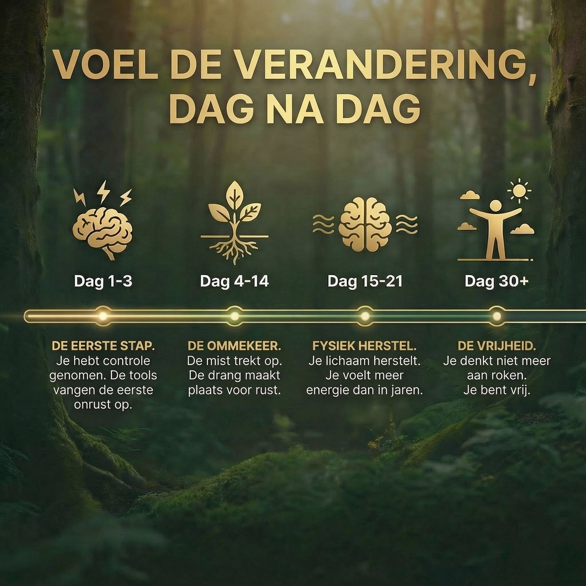 Het 30-Daagse Stoppers Protocol