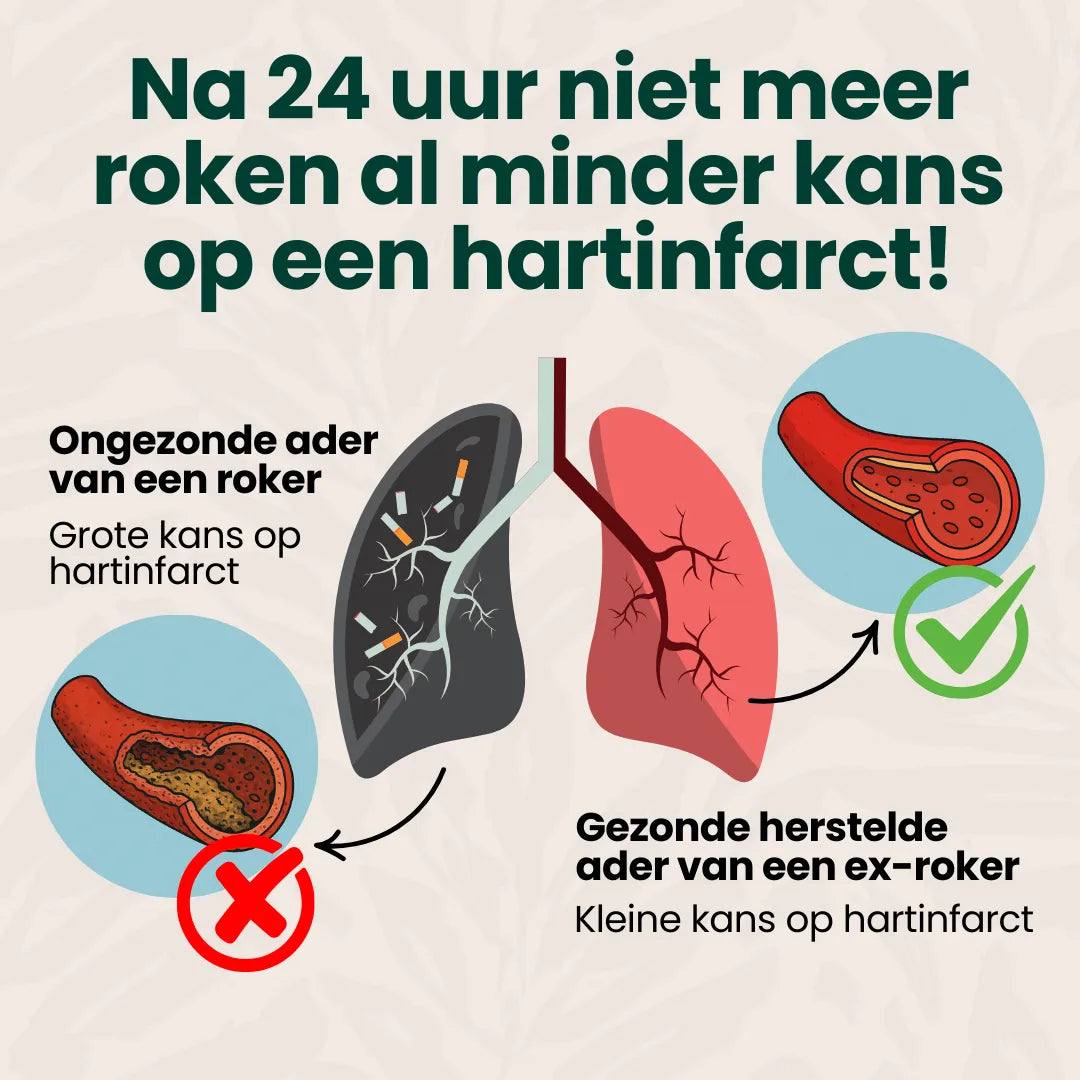 Het Stoppen Met Roken Kookboek